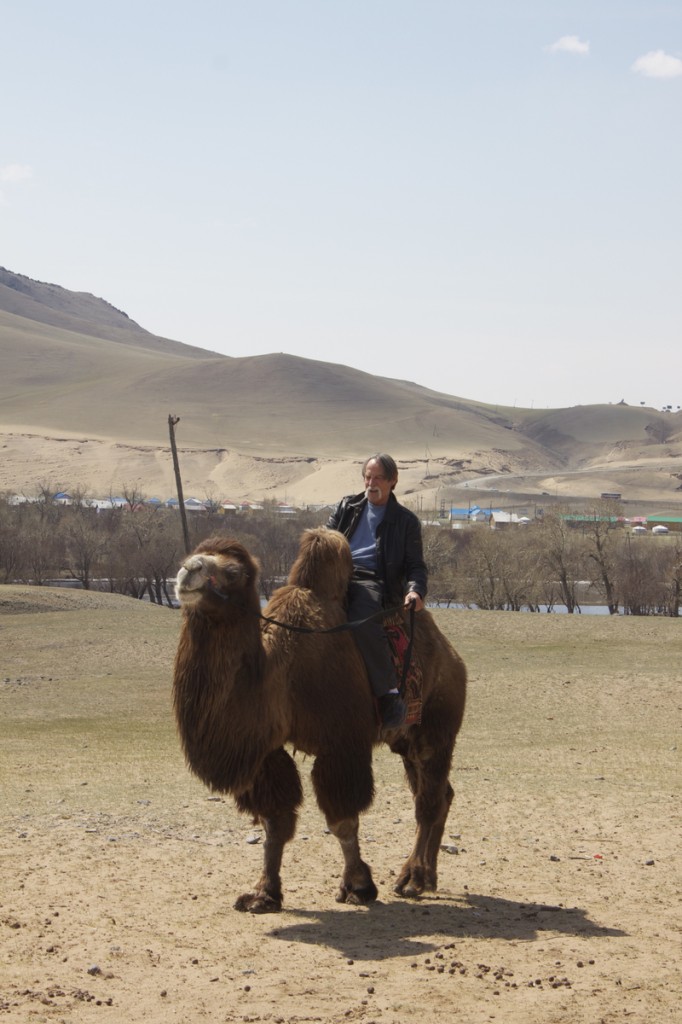 Gorkhi Terelj Camel Ride