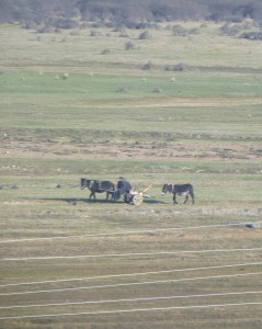 Trans-siberian train near Jining