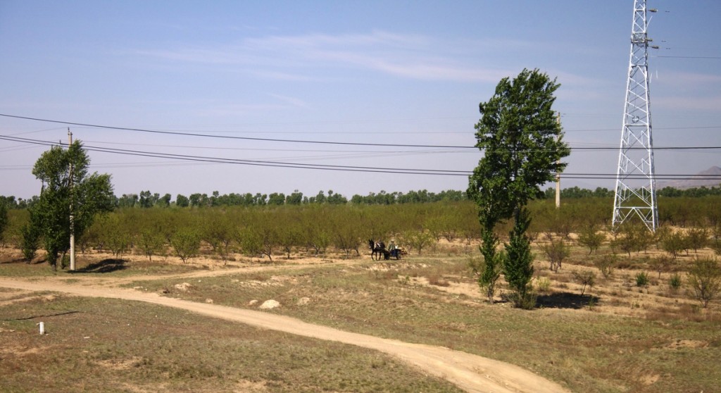 Trans-Siberian Train Heibei Province