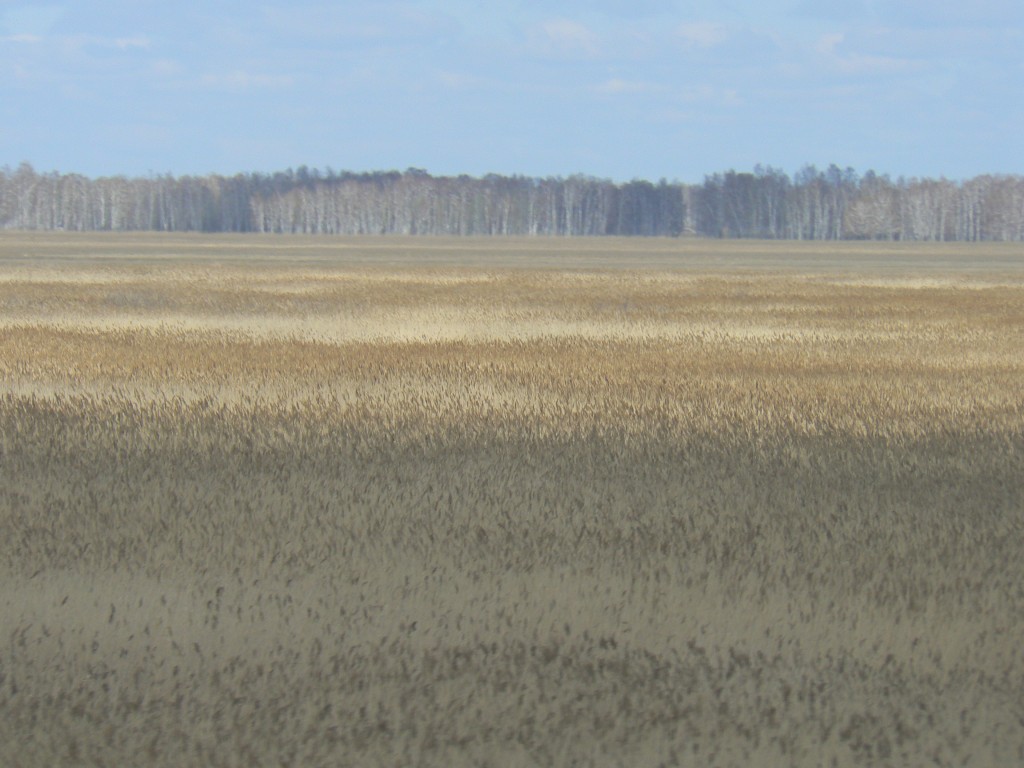 Siberian Countryside by Tatarskaya