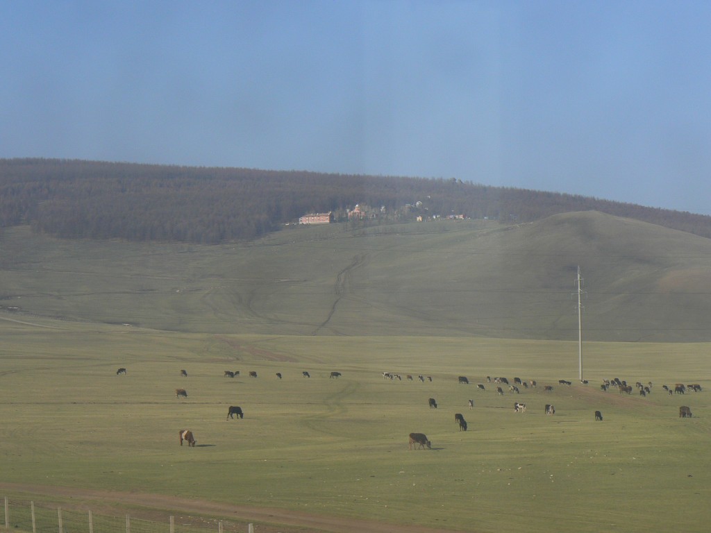 Hills Southeast of Ulaanbaatar